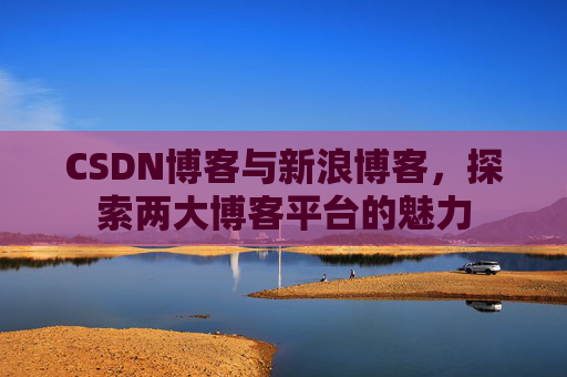 CSDN博客与新浪博客,探索两大博客平台的魅力
